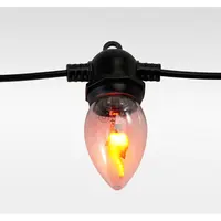 Vlamverlichting 10 Lampen 2,7m