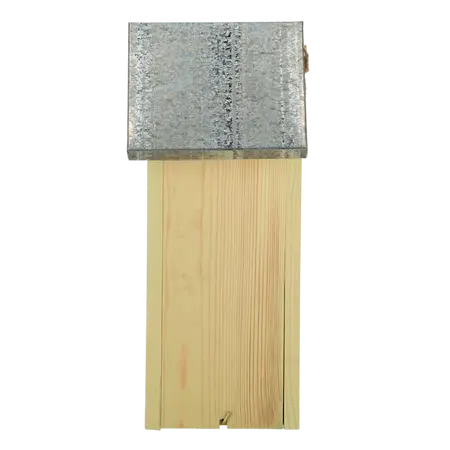 Vlinderkast Naturel 33cm