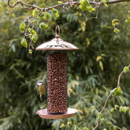 Vogel Voedersilo Noten Koper Zwart