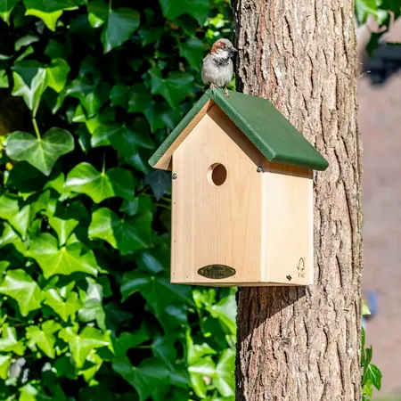 Vogelbescherming Nederland Nestkast Oklahoma