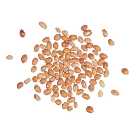 Vogelbescherming Nederland Pinda's Emmer 3kg