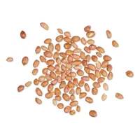 Vogelbescherming Nederland Pinda's Emmer 3kg