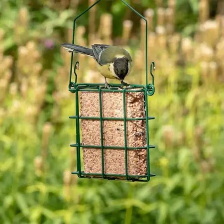 Vogelbescherming Nederland Vetblok Bosvruchten