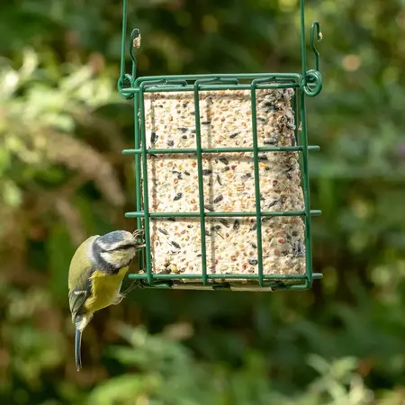 Vogelbescherming Nederland Vetblok Zonnebloem