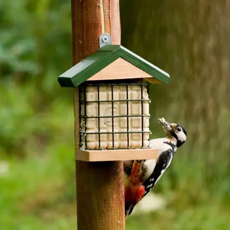 Vogelbescherming Nederland Wand Vetblokhouder Ohio