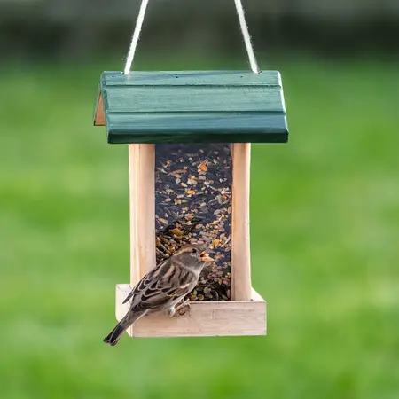 Vogelbescherming Nederland Zadenmix met Insecten 1kg