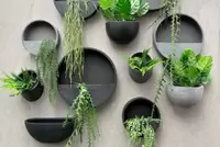Wand bloempotten