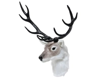 Wanddecoratie Rendierkop Beige 22cm