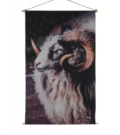 Wandkleed Cosy Ram LED 66x107cm