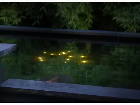 Welkin vijververlichting LED Pond Light Velda