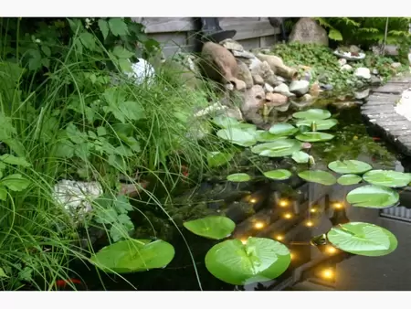 Welkin vijververlichting LED Pond Light Velda